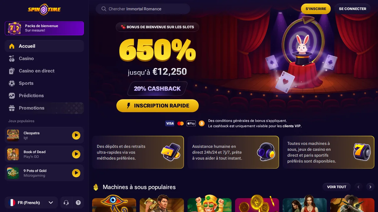 Aper&ccedil;u du site Spin Time
